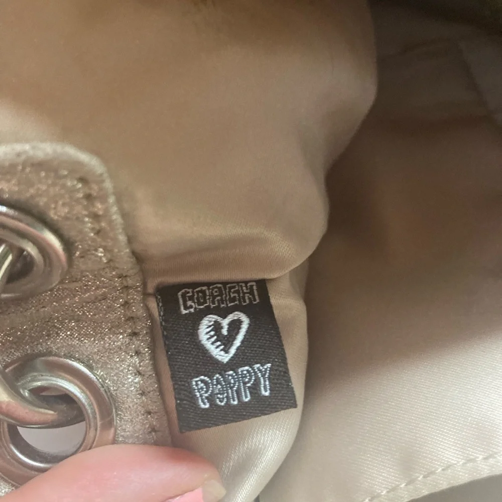 Vintage Y2K Coach Poppy Canvas Bag Colorful Signature C’s Silver Hardware